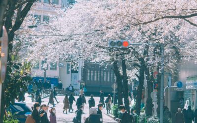 Podróż do Japonii: Refleksje i Wskazówki